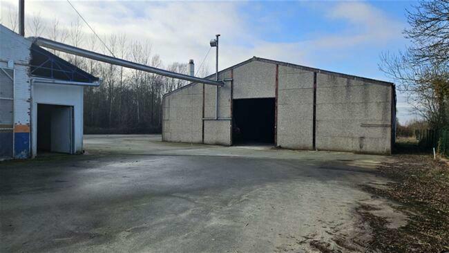 ground for sale