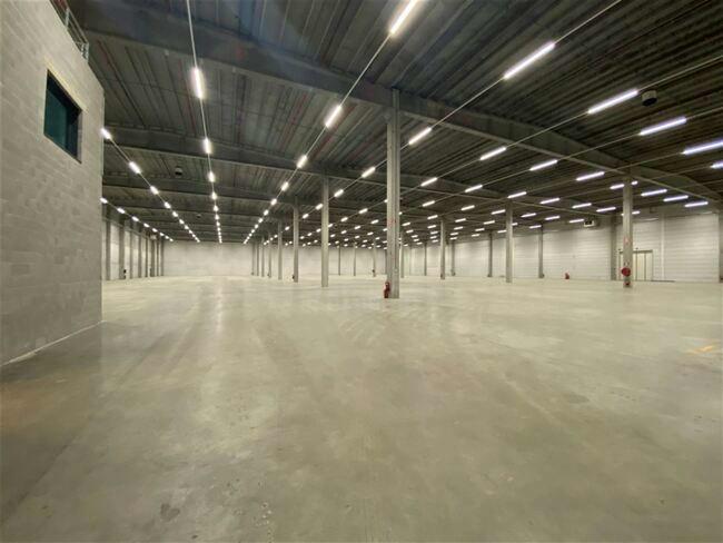 logistics for rent