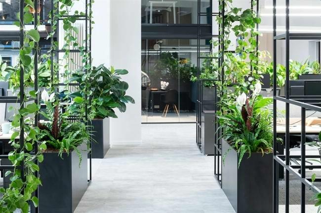 office for rent