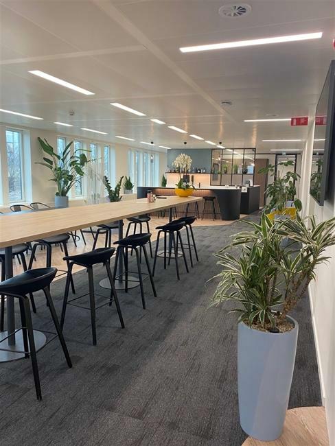 office for rent