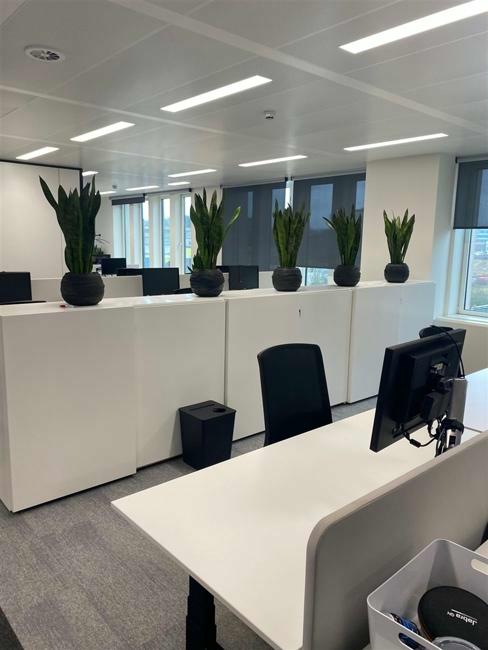 office for rent