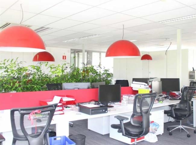 office For sale or for rent