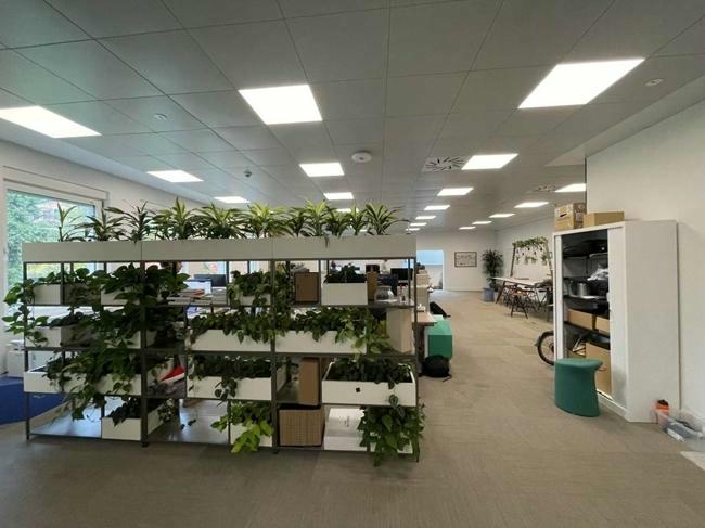office for rent